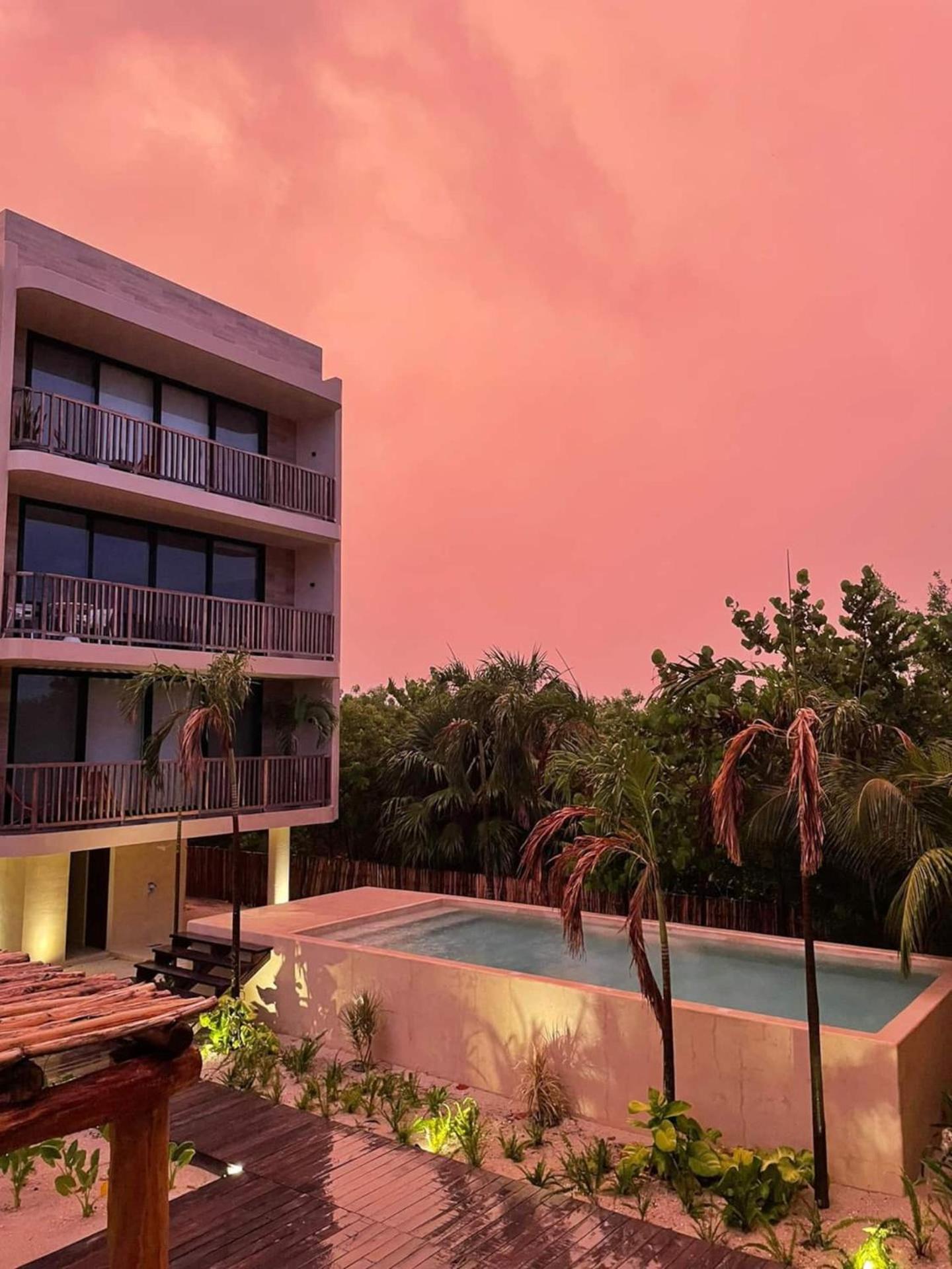 Ocean View Loft In Punta Cocos - C102 Hotel Ilha Holbox Exterior foto