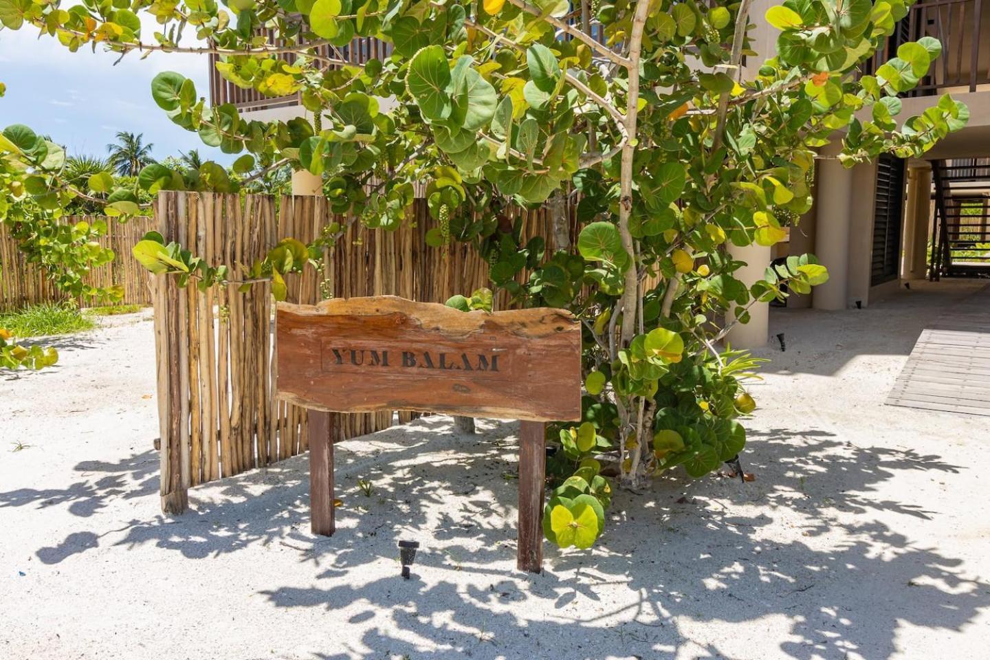 Ocean View Loft In Punta Cocos - C102 Hotel Ilha Holbox Exterior foto